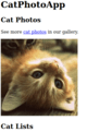Cat Photo App