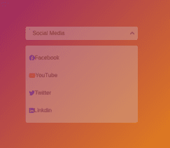 Social Media Selector Menu